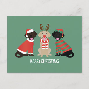 God jul Labrador Retriever Hundar Helg Vykort