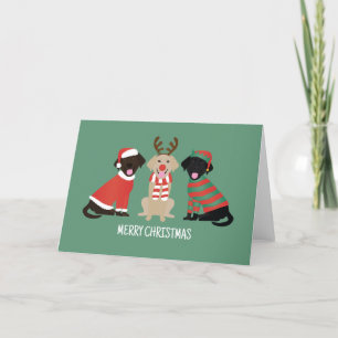 God jul Labrador Retriever Hundar Helgkort