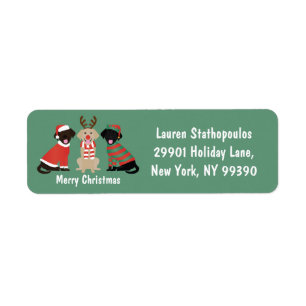 God jul Labrador Retriever Hundar Returadress Etikett