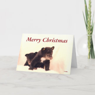 God jul - Lakota & Paiute Greeting Card Helgkort