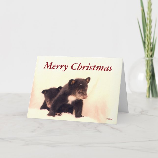 God jul - Lakota & Paiute Greeting Card Helgkort (Framsida)