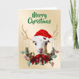 God jul LaMancha Goat Kid Kort