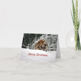 God jul - låt det snöa helgkort