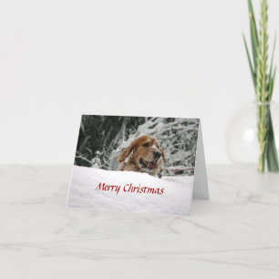 God jul - låt det snöa helgkort
