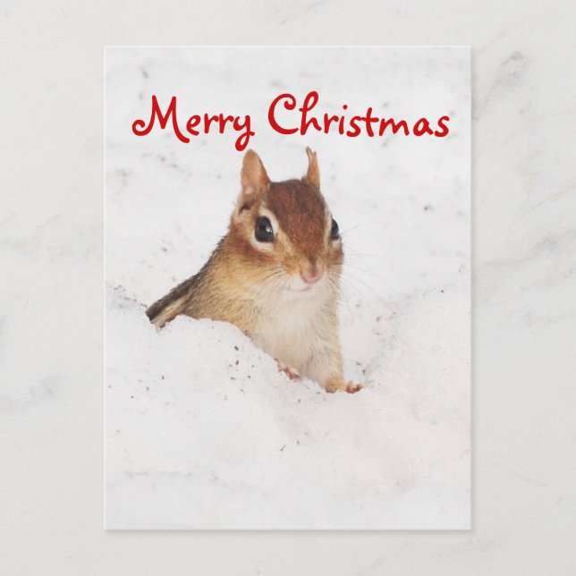 God jul Little Snowy Chipmunk Postcard Helg Vykort (Framsida)