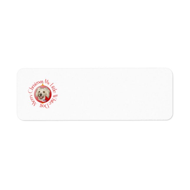 God jul Little White Hund Pudel / Bichon Returadress Etikett (Framsidan)