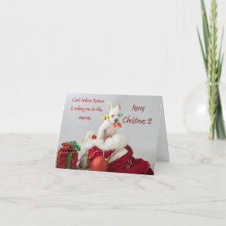 God jul Ljus jultomtkort för Fransk Kort