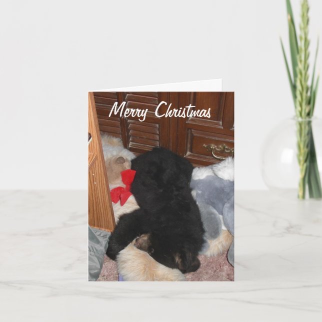 God jul - ljusa Shenandoah Helgkort (Framsida)