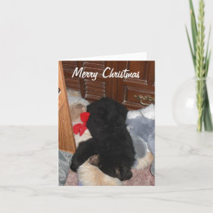 God jul - ljusa Shenandoah Helgkort