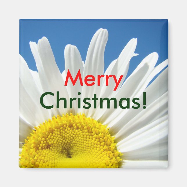 God Jul! magnetpresenter Vit tusensköna blomma Magnet (Framsidan)
