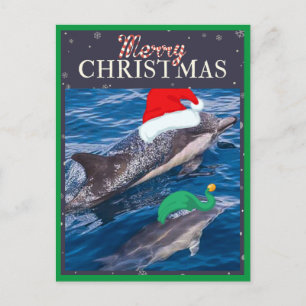 God jul mamma och babydelfinvykort helg vykort