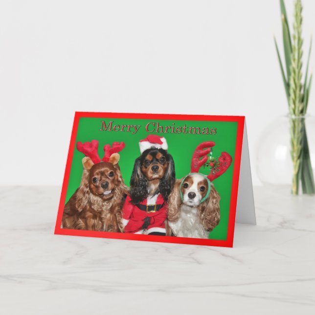 God jul med tre King Charles Spaniels Helgkort (Framsida)