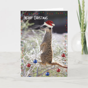 God jul Meerkat Helgkort