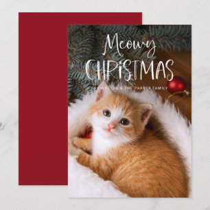 God Jul Meowy Sött Roligt Husdjur Katt Foto Julkort