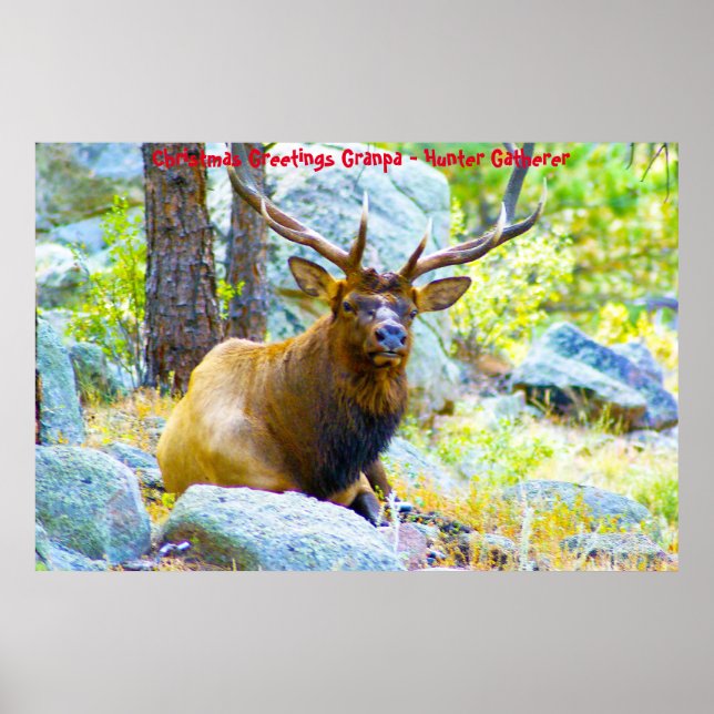 God jul Morpa Hunter Gatherer Poster (Framsidan)