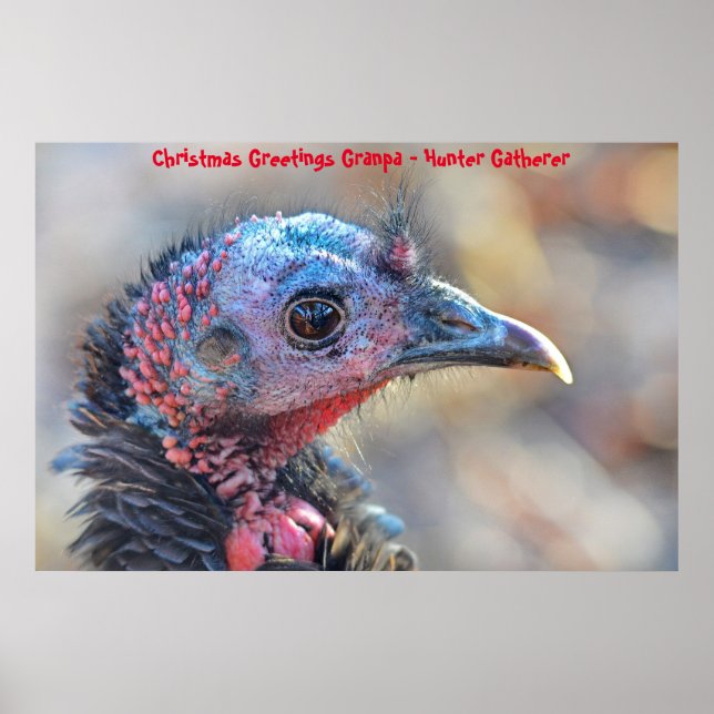 God jul Morpa Hunter Gatherer Poster (Framsidan)