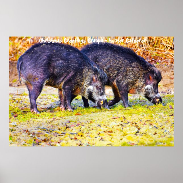 God jul Morpa Hunter Gatherer Poster (Framsidan)