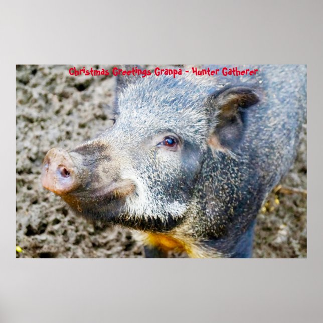 God jul Morpa Hunter Gatherer Poster (Framsidan)