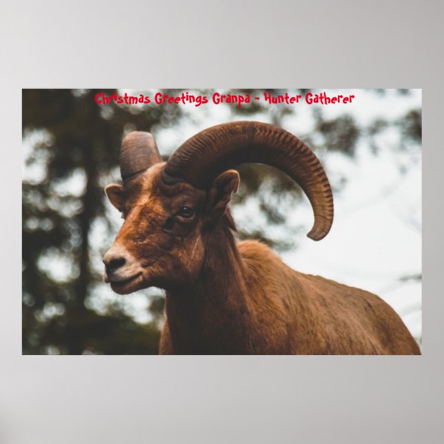 God jul Morpa Hunter Gatherer Poster (Framsidan)