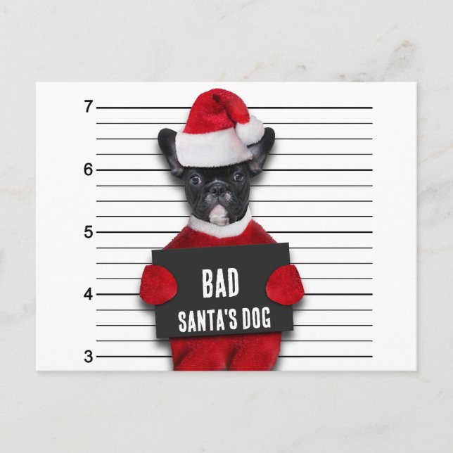God jul Mugshot Dåliga Santa's Hund Helg Vykort (Framsida)