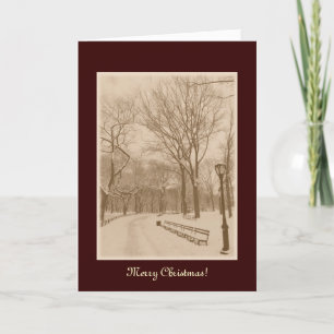 God jul - New York Central Park Snö Helgkort