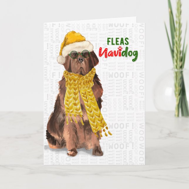 God jul, Newfoundland Fleas NaviDOG Helgkort (Framsida)