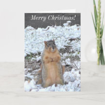 God jul och Gott nytt år-ekorrelvinter