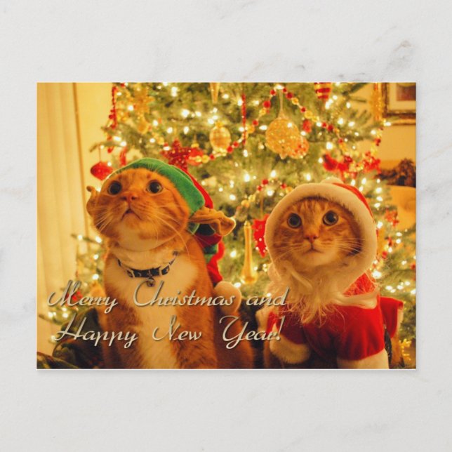 god jul och gott nytt år helg vykort (Framsida)