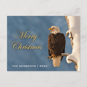 god jul - Örn Perching Helg Vykort