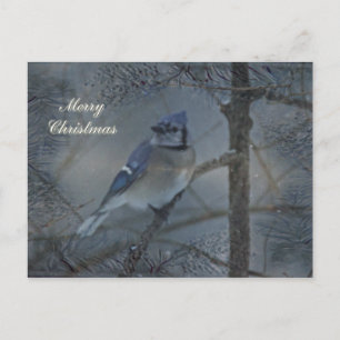 God jul - Östra Blue Jay Helg Vykort