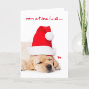 God jul pälsfodrar all gul lab valp helgkort