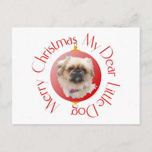 God Jul Pekingeser Helg Vykort