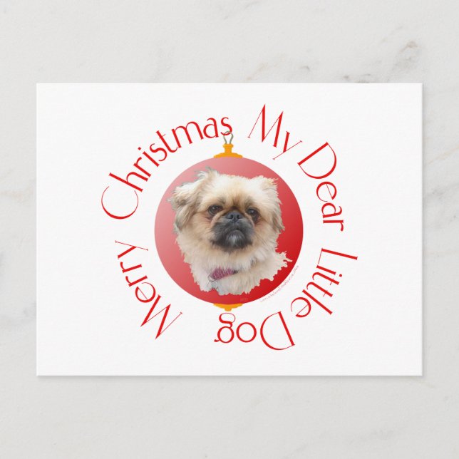 God Jul Pekingeser Helg Vykort (Framsida)