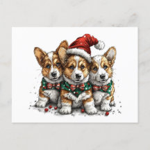God jul Pembroke Welsh Corgi Puppies