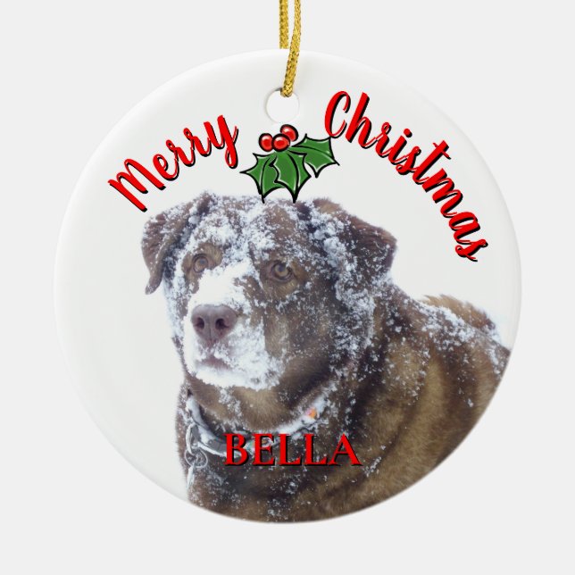 God jul personalisera fotomall för husdjur julgransprydnad keramik (Framsidan)