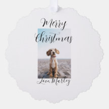 God jul pet hund cat foto helgdag gips län