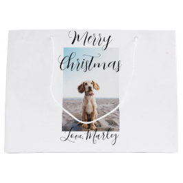 God jul pet hund cat foto helgdag gips län