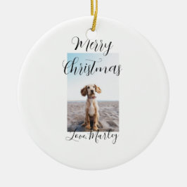 God jul pet hund cat foto helgdag gips län julgransprydnad keramik