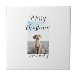God jul pet hund cat foto helgdag gips län kakelplatta