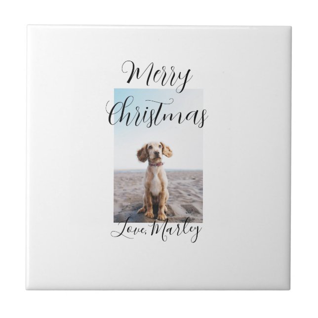 God jul pet hund cat foto helgdag gips län kakelplatta (Framsidan)