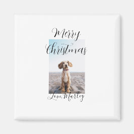 God jul pet hund cat foto helgdag gips län magnet