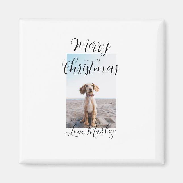 God jul pet hund cat foto helgdag gips län magnet (Framsidan)