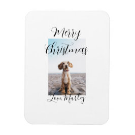 God jul pet hund cat foto helgdag gips län magnet