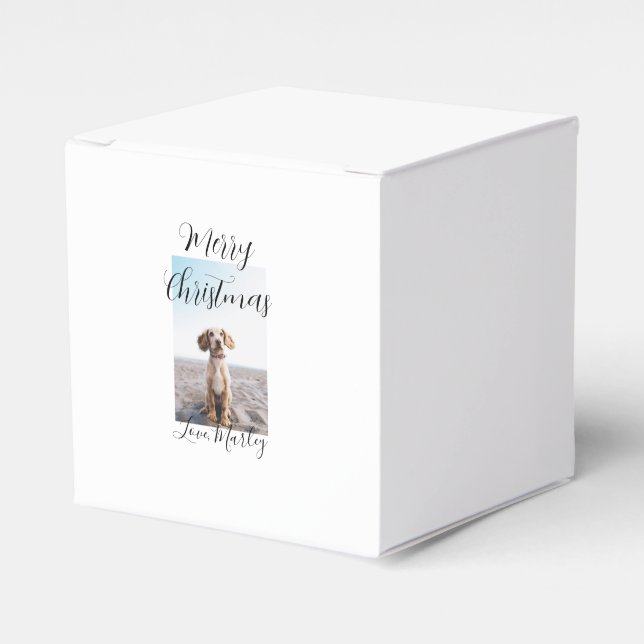 God jul pet hund cat foto helgdag gips län presentaskar (Framsidan Sidan)