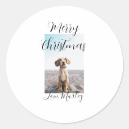 God jul pet hund cat foto helgdag gips län runt klistermärke