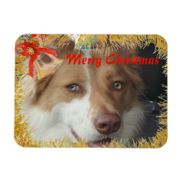 God jul Pet Photo Magnet