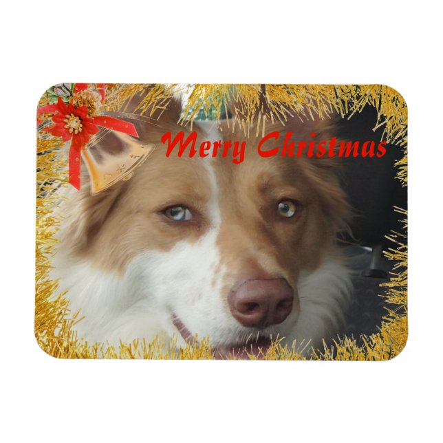 God jul Pet Photo Magnet (Horisontell)