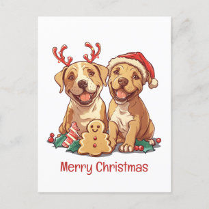 God jul Pit Bull Dogs Helg Vykort