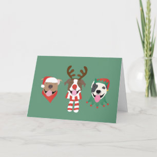 God jul Pit Bull Dogs Helgkort