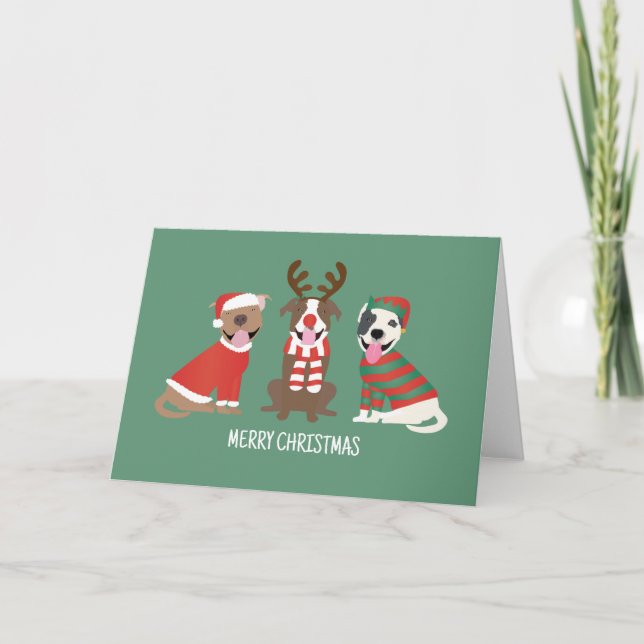 God jul Pit Bull Dogs Helgkort (Framsida)